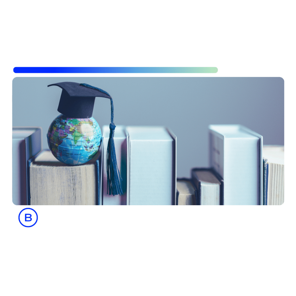 gestão de competências